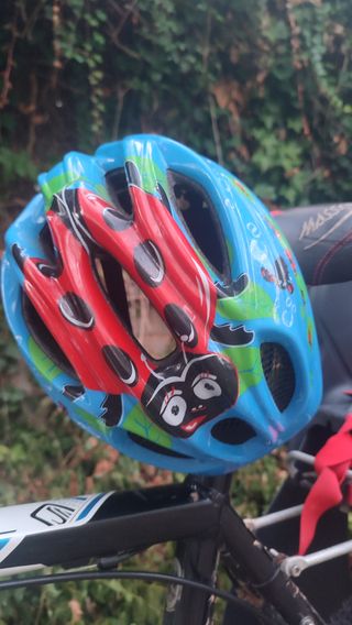 Silla bici niño - hasta 22kg