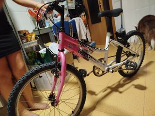 Bicicleta