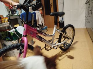 Bicicleta