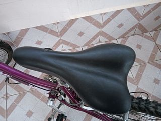 Bicicleta ngece 24" rosa