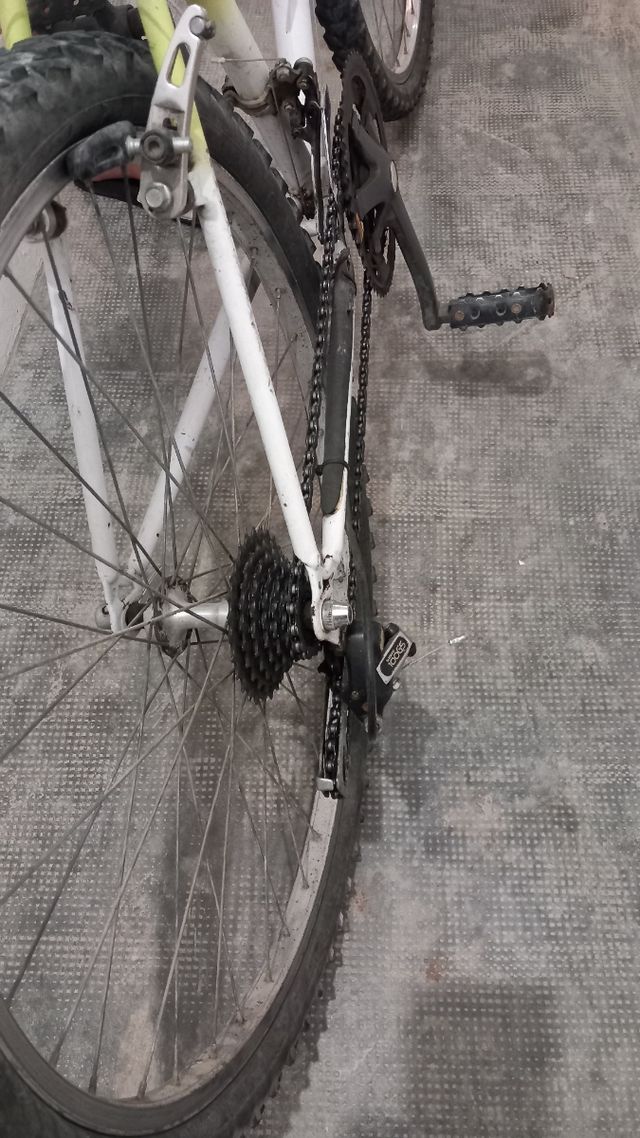 Bicicleta montaña vintage