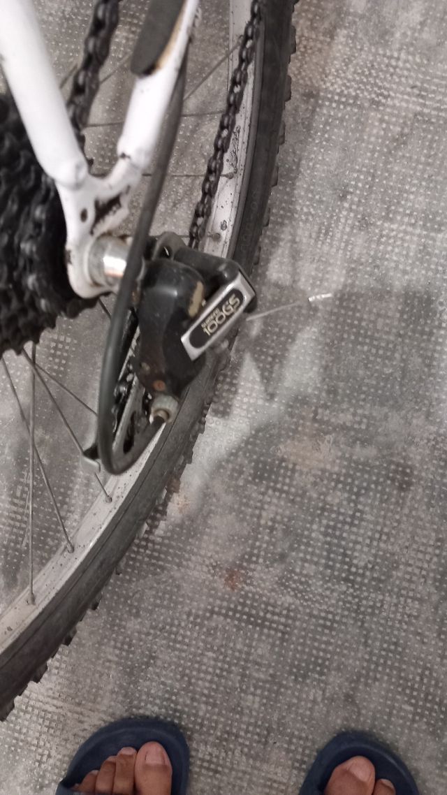 Bicicleta montaña vintage