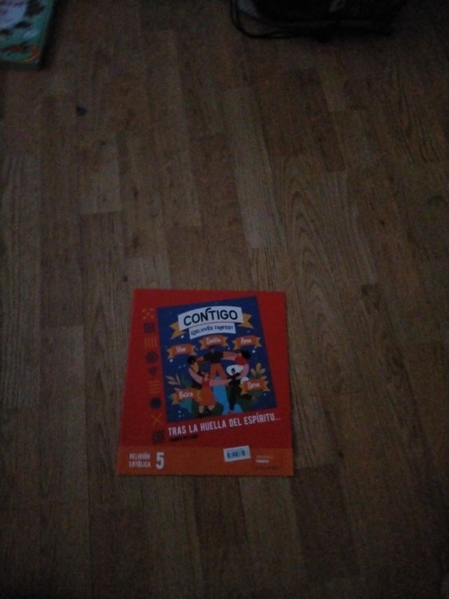 Proyecto: FanFest. Religión católica 5