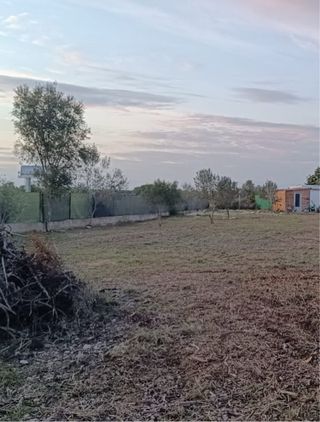 se desbrozan y labran fincas