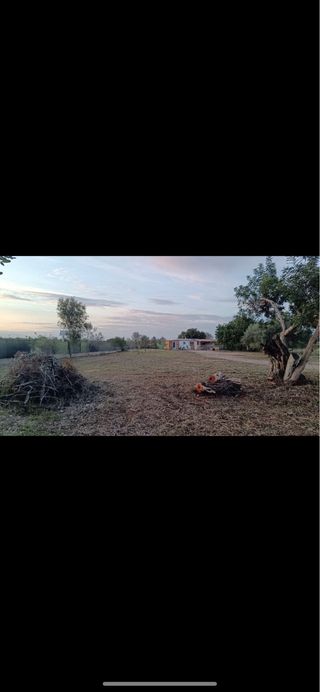 se desbrozan y labran fincas