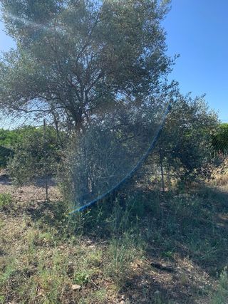 se desbrozan y labran fincas