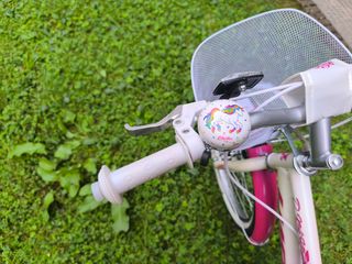 Bicicleta niña de 20"