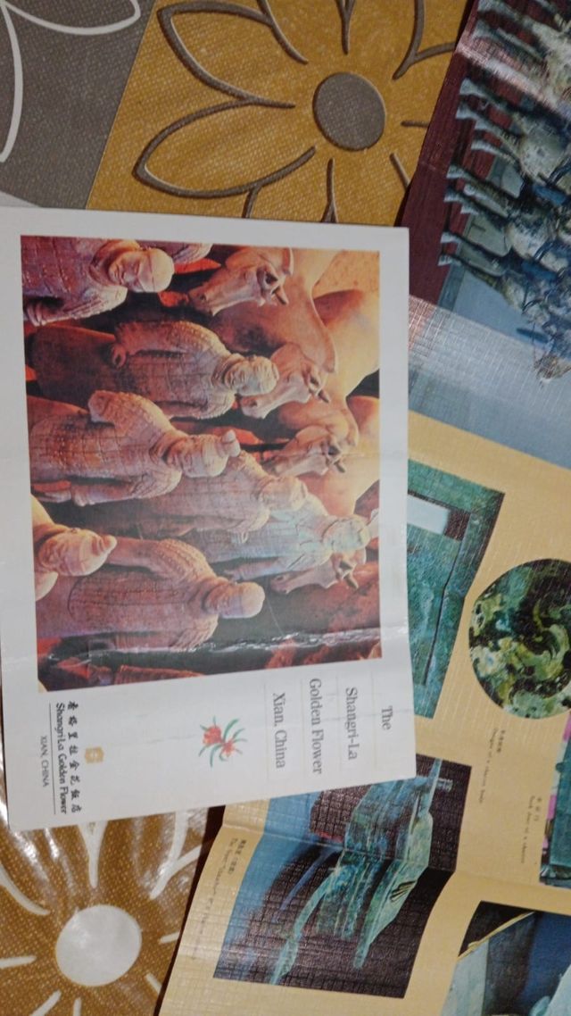 Carro Qin Shi Huang: 2 carruajes