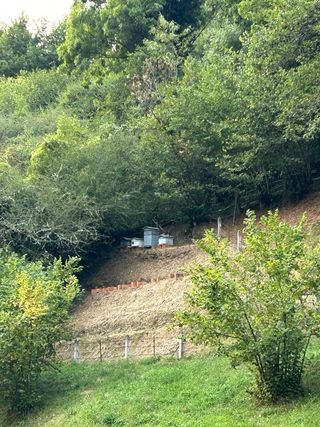 Colmenas para apicultura