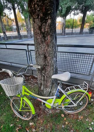 Bicicleta Olanda paseo.