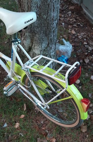 Bicicleta Olanda paseo.