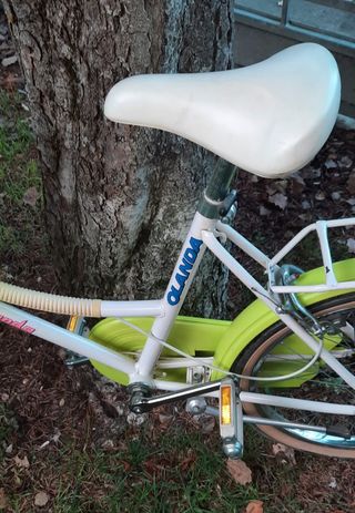 Bicicleta Olanda paseo.