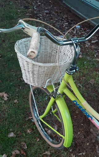 Bicicleta Olanda paseo.