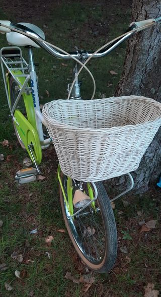 Bicicleta Olanda paseo.