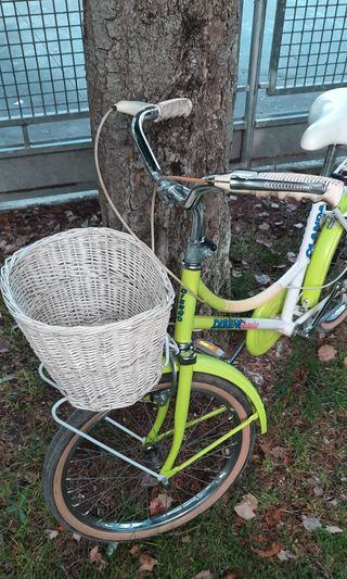 Bicicleta Olanda paseo.