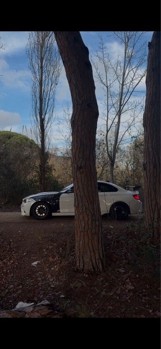 BMW m2 2017
