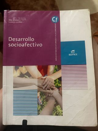 Desarrollo socioafectivo