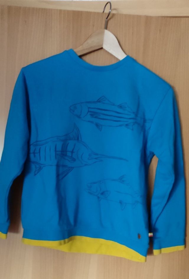 Sudadera peces azul turquesa