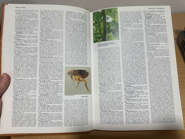 Nueva enciclopedia del mundo