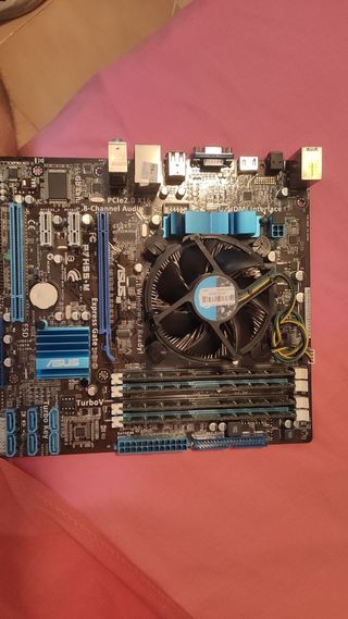 Placa base Asus P7H55-M