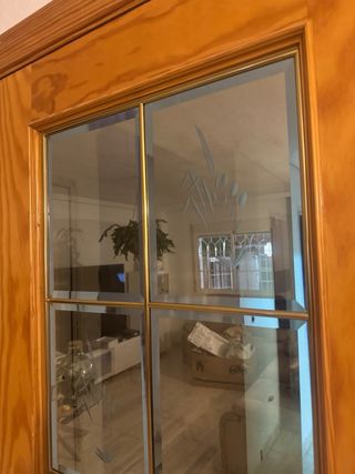 Puerta doble madera salón
