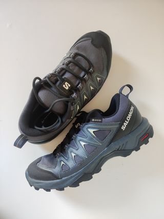 Zapatillas Salomon X Braze GTX