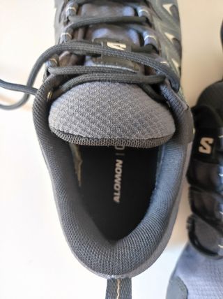 Zapatillas Salomon X Braze GTX