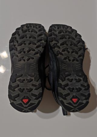 Zapatillas Salomon X Braze GTX