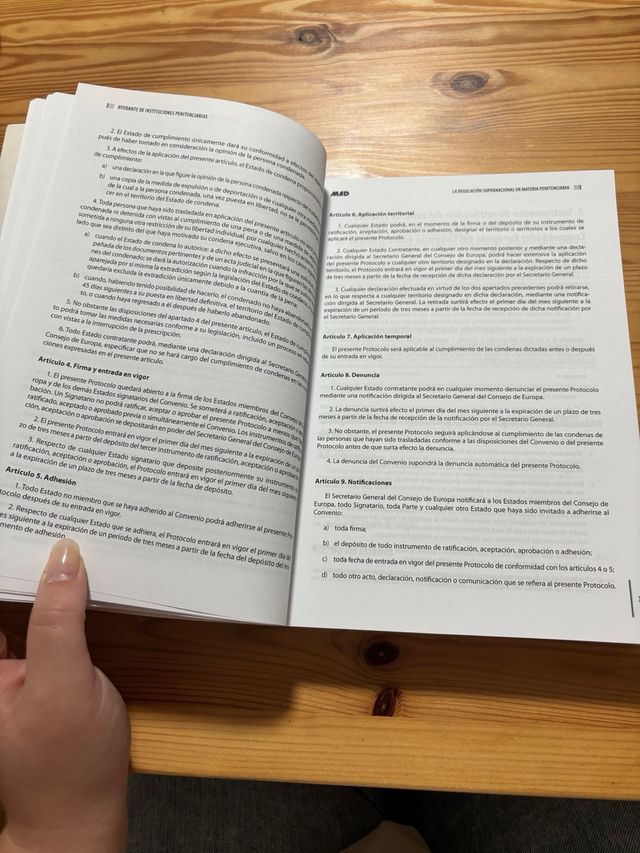 Ayudante de instituciones penitenciarias. Derec...