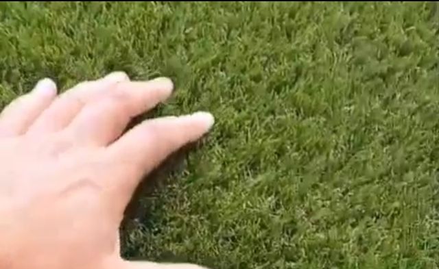 Césped artificial 30mm europeo