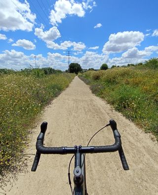 Bicicleta Gravel Triban RC500