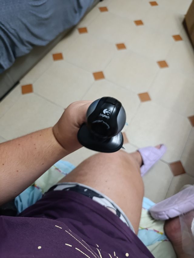 Webcams en buen estado