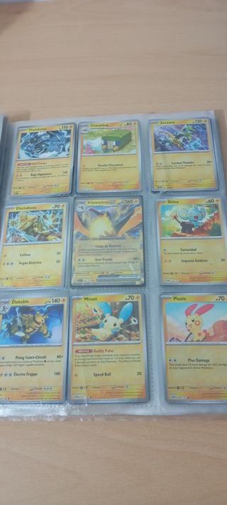 Album cartas Pokémon