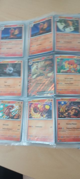 Album cartas Pokémon