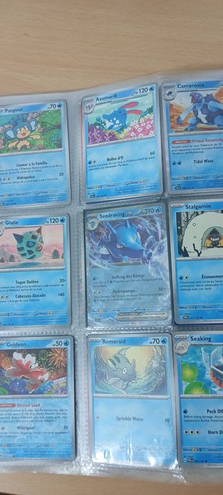 Album cartas Pokémon