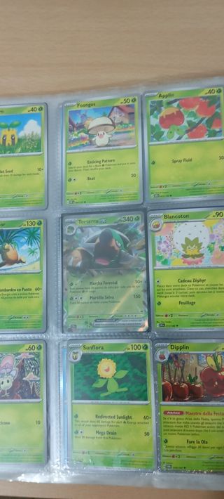 Album cartas Pokémon
