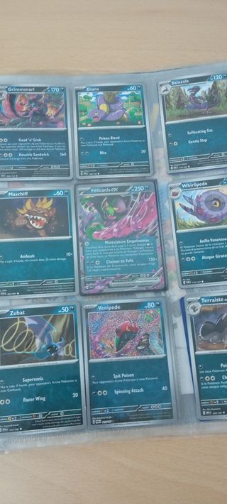 Album cartas Pokémon