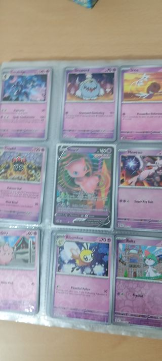 Album cartas Pokémon
