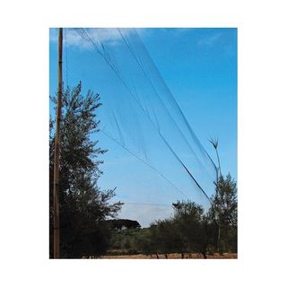 RED JAPONESA O PANTALLA INVISIBLE