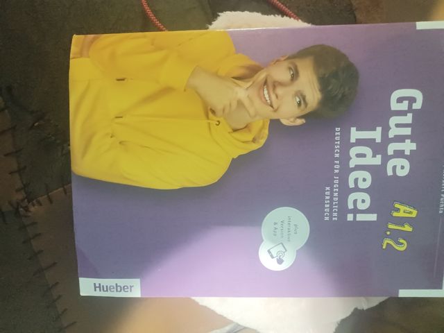 BESTE FREUNDE A1.1 AB + CD-Audio