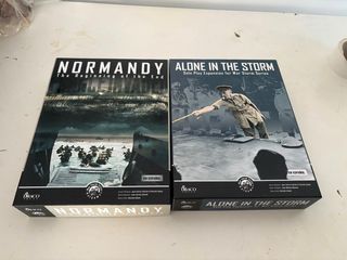 War Storm: Normandy & Alone in the Storm