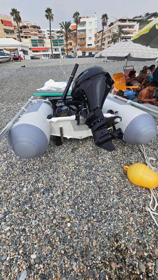 Zodiac Modelo rib alu 270 alu. Semirriguida