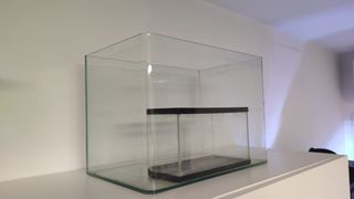 Acuario de cristal transparente