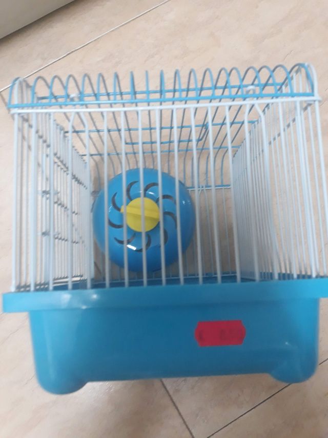 Jaula hamster ruso