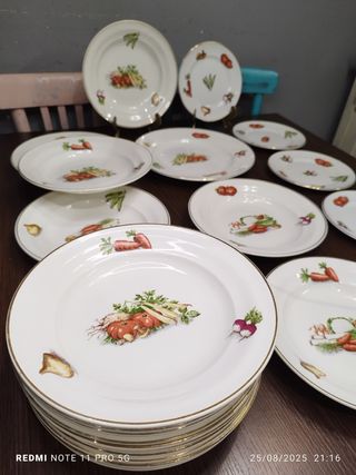 23 piatti vintage in porcellana francese