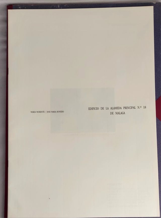 láminas y estudio del Edif. 18 Alameda Málaga