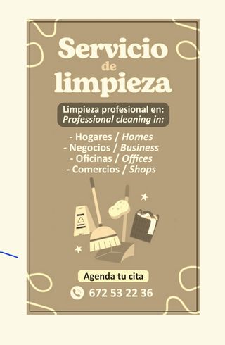 Limpieza Profesional por Hora.