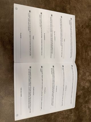 Matemáticas Primaria Cuadernos de Problemas 10