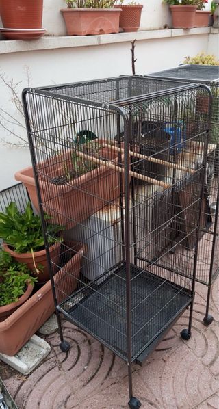 jaulas para pájaros medianos 
