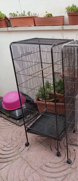 jaulas para pájaros medianos 
